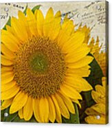Sunflower Letters Acrylic Print