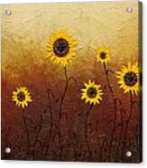 Sunflowers 1 Acrylic Print