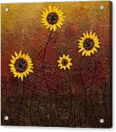 Sunflowers 3 Acrylic Print