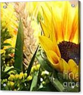 Shavuot Sunflowers Acrylic Print