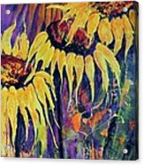 Sunflowers On Purple Acrylic Print