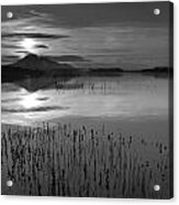 Sunrise At The Lake Acrylic Print