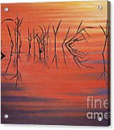 Sunrise Grass Reflections Acrylic Print