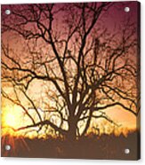 Sunrise Acrylic Print