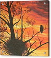 Sunset Eagle Acrylic Print