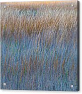 Sunset Marsh In Blue And Gold Acrylic Print