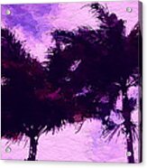 Sunset Purple Palm Tree Acrylic Print