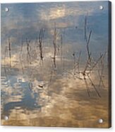 Sunset Reflection Acrylic Print