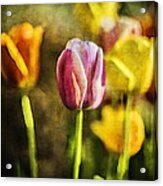 Sunshine And Tulips Modern Art By Contemporary Artist Acrylic Print