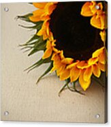 Sunshine Acrylic Print