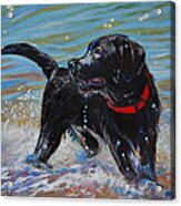 Surf Pup Acrylic Print