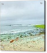 Surfrider Lawn Acrylic Print