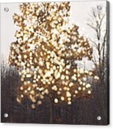 Surreal Fantasy Tree Nature Sparkling Lights Acrylic Print
