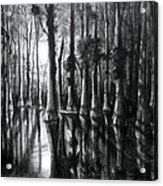 Swamp At Night Acrylic Print