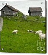 Switzerland Acrylic Print