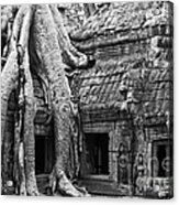 Ta Prohm Roots And Stone 01 Acrylic Print
