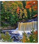 Tahquamenon Falls Acrylic Print