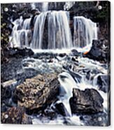 Tangle Falls Waterfall In Forest Acrylic Print