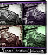 Tcu Horned Frog Poster Acrylic Print