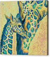Teal Giraffes Acrylic Print