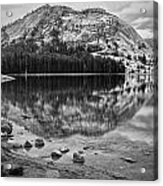 Tenaya Lake In Yosemite In Bw Acrylic Print