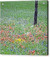 Texas Fencepost And Spring Pastels Acrylic Print