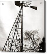 Texas Windmill Acrylic Print