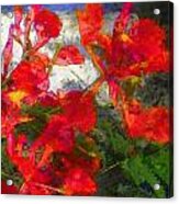 S Textured Flamboyant Flowers - Square Acrylic Print