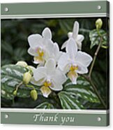 Thank You White Orchids Acrylic Print