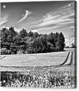 Thaxted Basks In Glorious Sun Acrylic Print