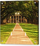 The Alley Of Oaks Acrylic Print