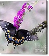 The Art Of Nature - Photography Masters Cup Nomination Acrylic Print