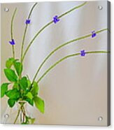 The Beauty In Wildflowers Acrylic Print
