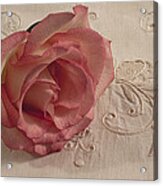 The Beauty Of Just One Rose Acrylic Print