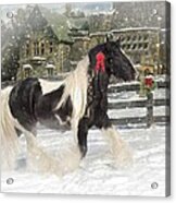 The Christmas Pony Acrylic Print