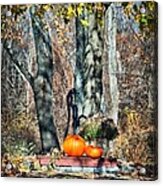 The Colors Of November Acrylic Print