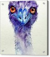 The Emu Acrylic Print
