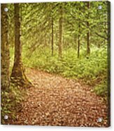 The Enchanted Forest Acrylic Print