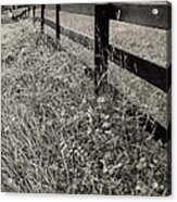 The Fence-line Acrylic Print