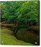 The Fogotico River In Spring Acrylic Print