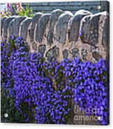 The Garden Wall Acrylic Print