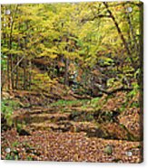 The Glen In Autumn Acrylic Print