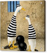 The Jailbirds... Acrylic Print