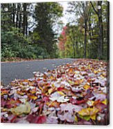 The Journey Acrylic Print