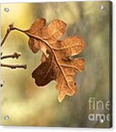 The Last Leaf Acrylic Print