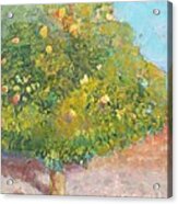 The Lemon Tree Acrylic Print