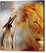 The Lion And The Lamb Acrylic Print