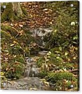 The Little Brook That Could Acrylic Print