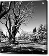 The Long Way Around Acrylic Print