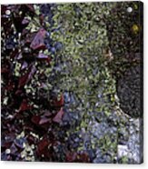 The Man In The Garnet Moon Abstract Acrylic Print